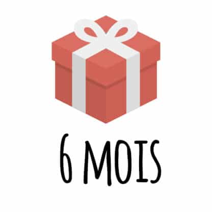 6 mois d'abonnement <small>6 x 17,90€ = 107,40€</small>